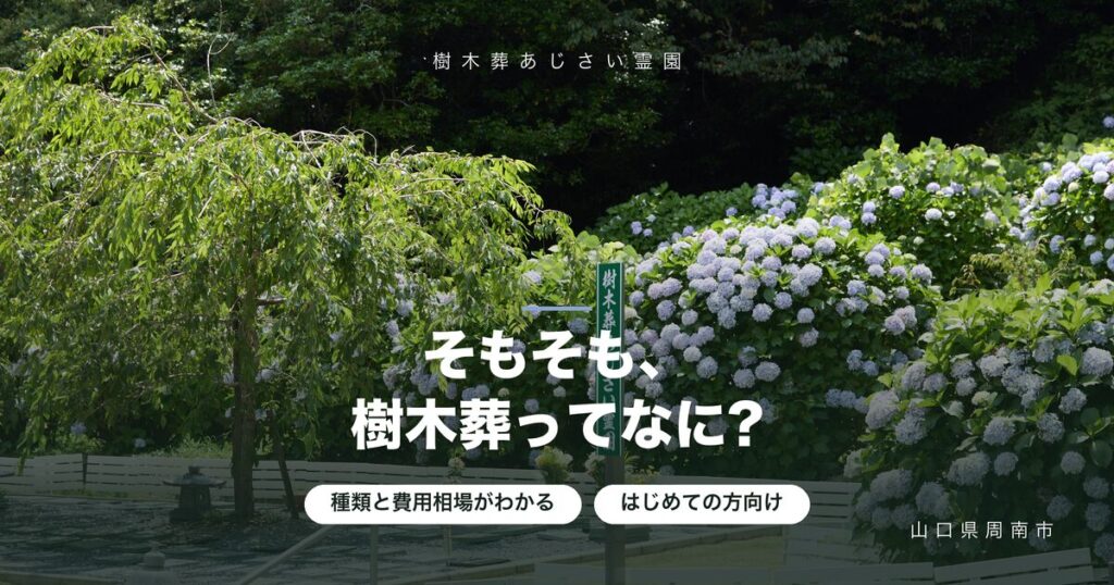 樹木葬とは?仕組み・種類・費用をはじめての方向けに解説