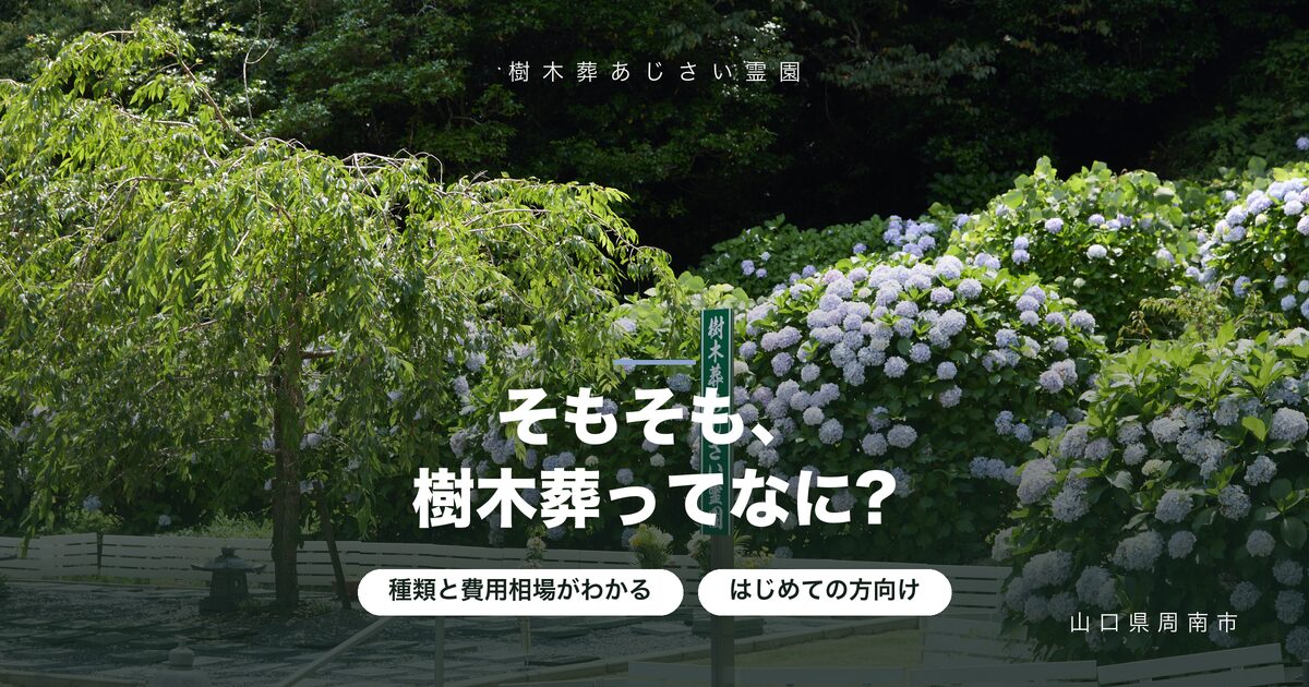 樹木葬とは?仕組み・種類・費用をはじめての方向けに解説