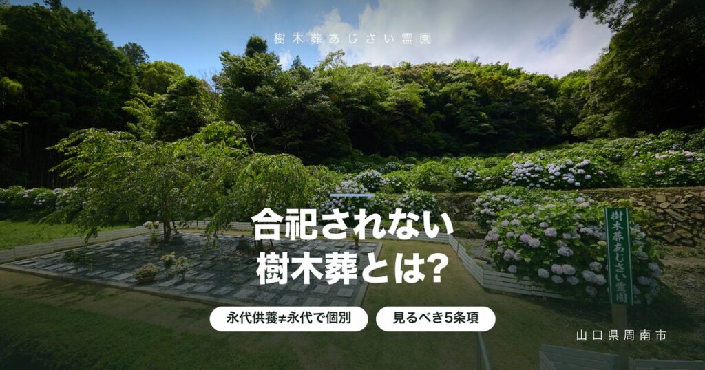 合祀されない樹木葬とは?「永代供養」の落とし穴と契約書の確認方法 合祀されない樹木葬とは?「永代供養」の落とし穴と契約書の確認方法