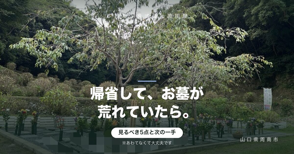 お盆に帰省して、実家のお墓が荒れていたら｜見るべき5点と次の一手