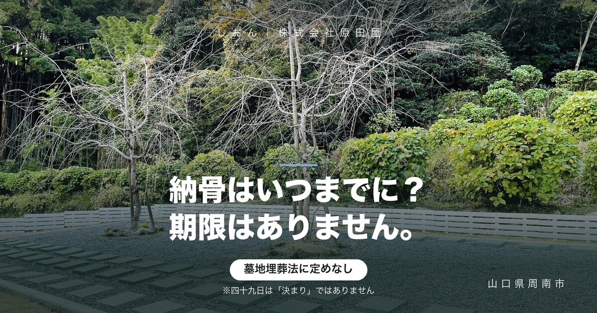 納骨はいつまでにすればいい?法律に期限はありません