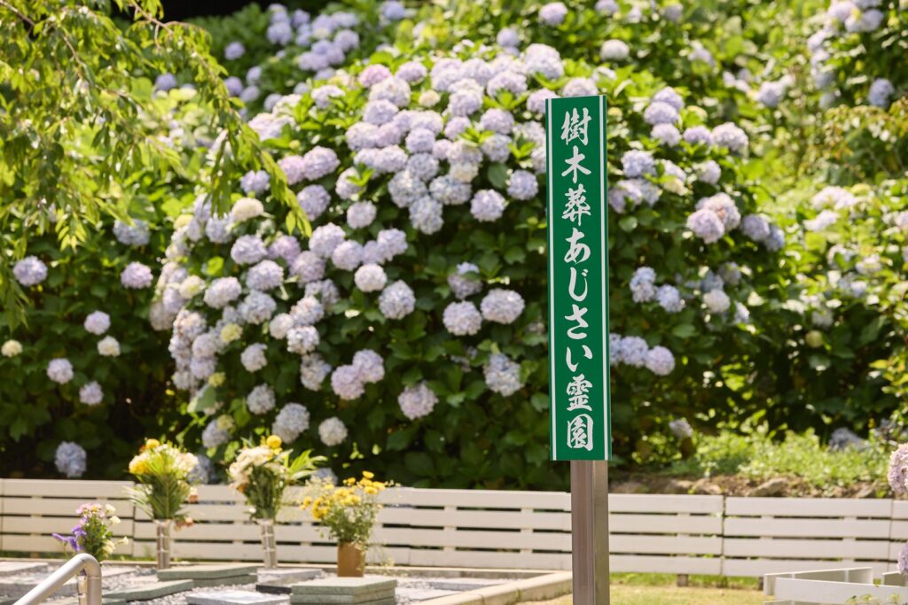 満開のあじさいと霊園の看板