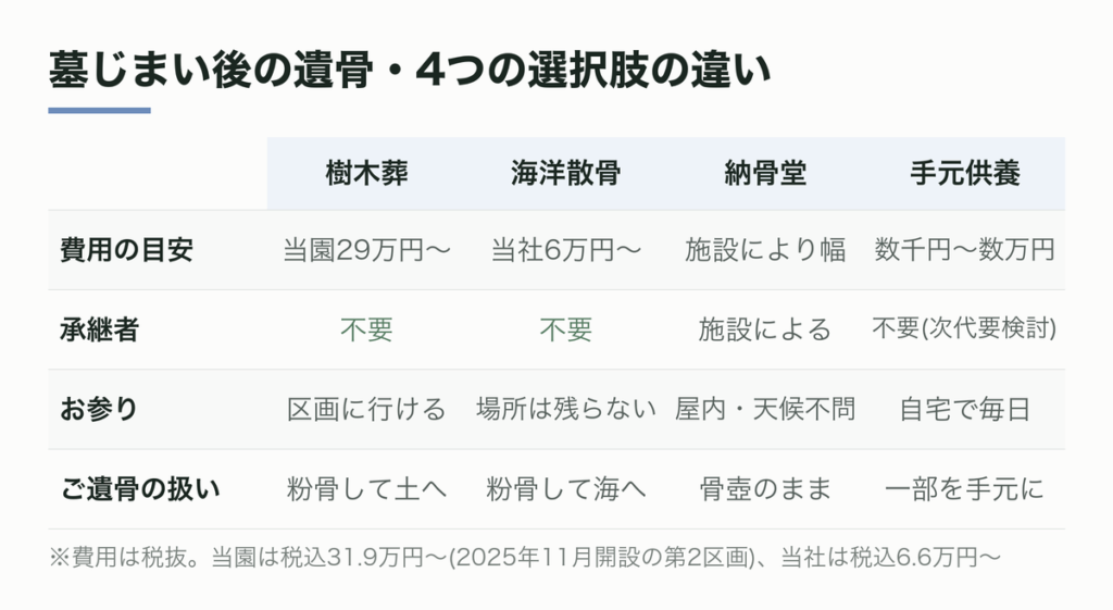 墓じまい後の遺骨・4つの選択肢の違い