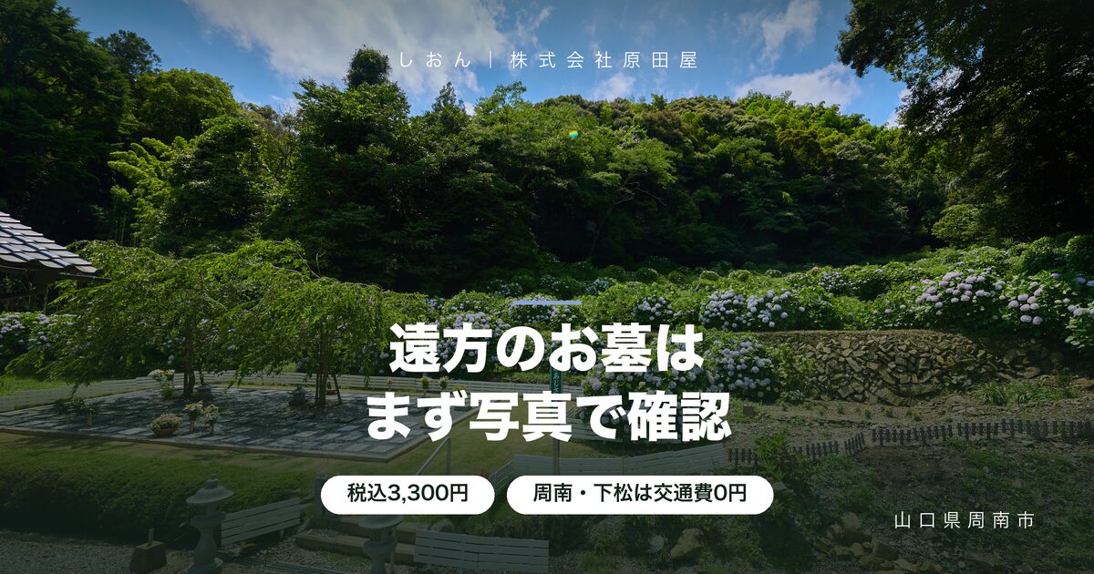 お墓参り代行を遠方から頼むなら｜まず3,300円の状態確認